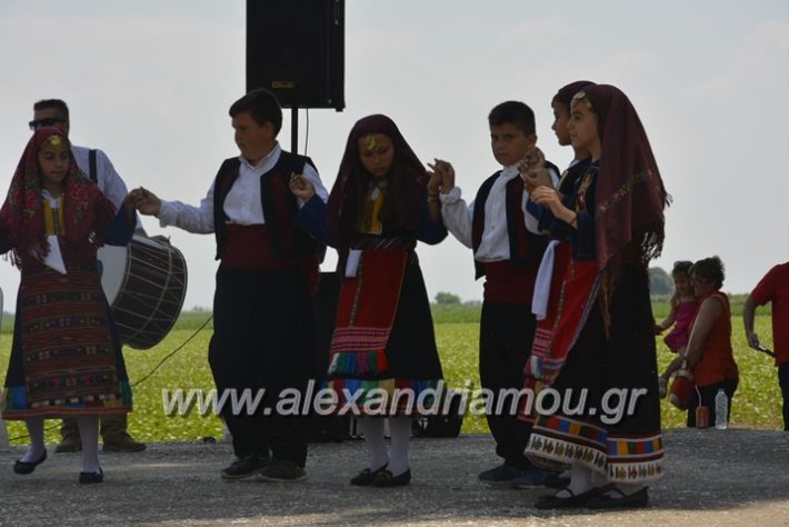 alexandriamou.gr_trikala28.5.2018162